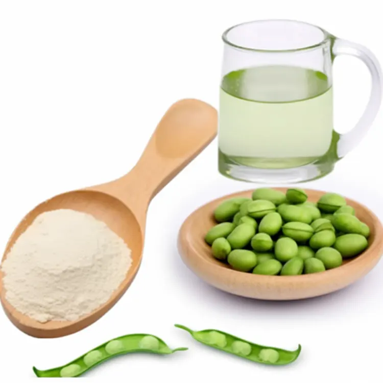 Sports Nutrition Supplements Chocolate Pea Protein Potential Vegetarian Protein Vegan Protein Powder