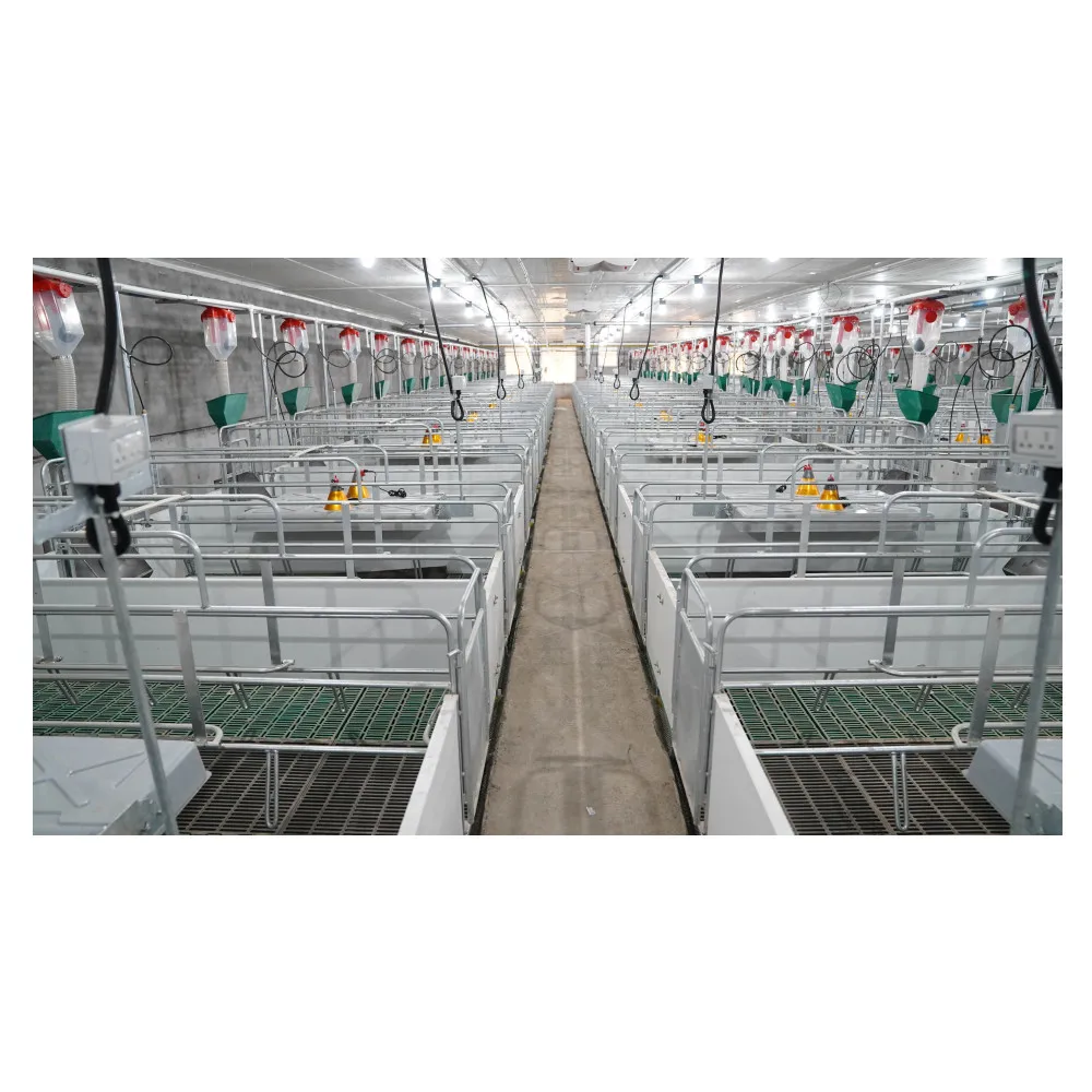 Свиноферма оборудование полностью листовая сталь горячего цинкования опороса клеть для сеять и поросят беременности стойло для сеять в виде животного, свинки Клетка