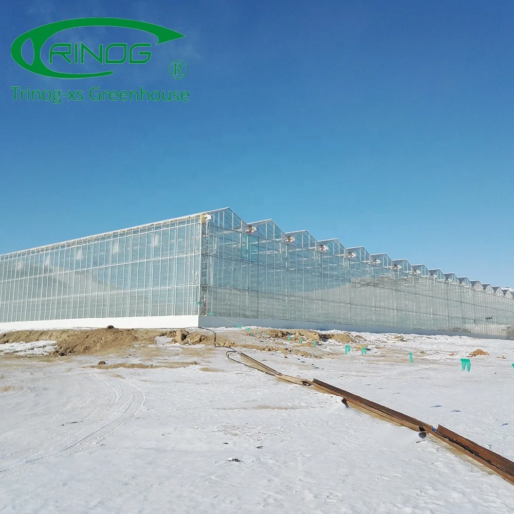 Стеклянный парниковый генератор Co2 для теплиц