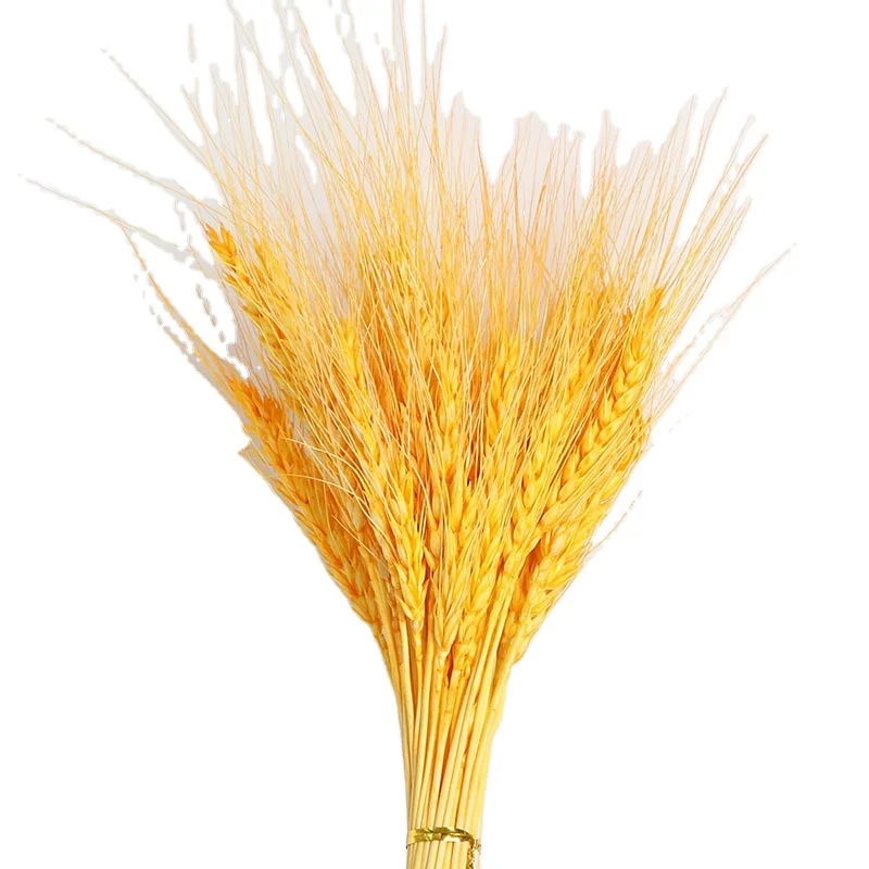 JD-F01 Amazon Hot Sale Natural Wheat Straw Decor Flowers Bouquet Dried Flowers Wheat