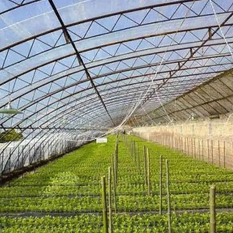Superior Quality Low Cost Agricultural Greenhouses Mini Plastic Film Greenhouse
