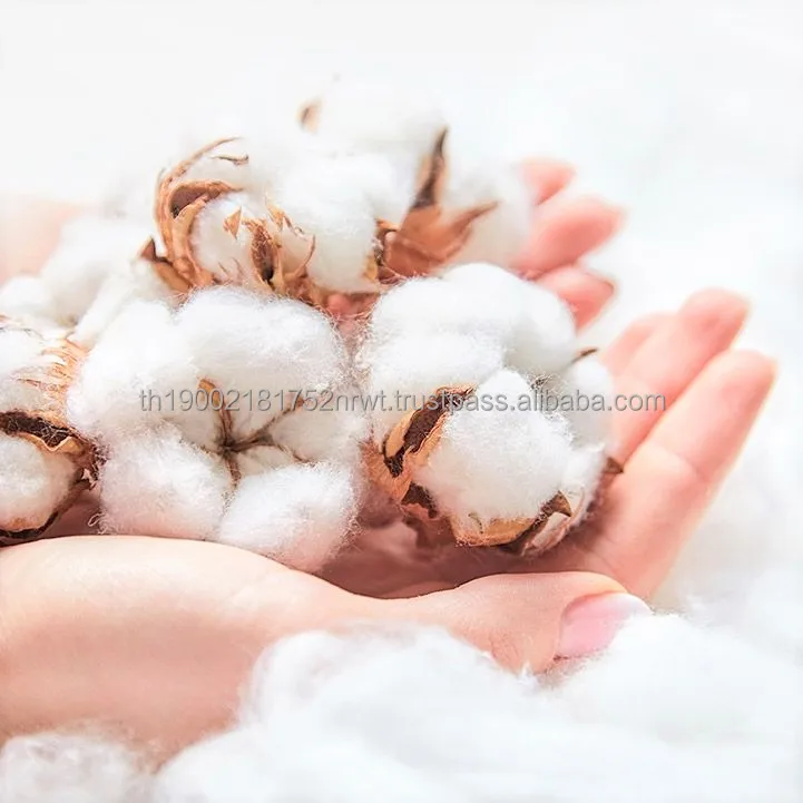 
Fabric Raw Material Breathable Textile Fabric Cotton Cloth Material 100% Organic Cotton Soft Fluffy Staple Fiber 