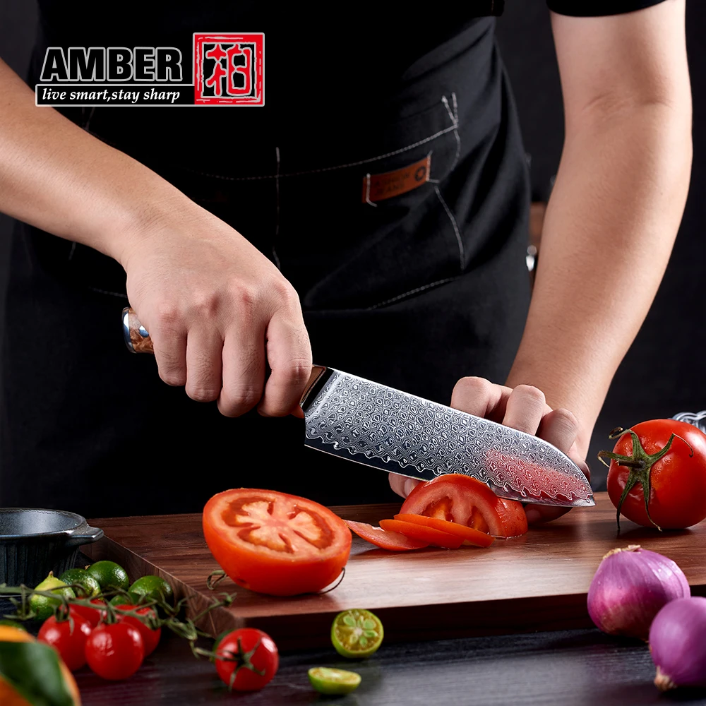 Professional wood handle 67 layers damascus steel knives Santoku Chef Knife with resin handle