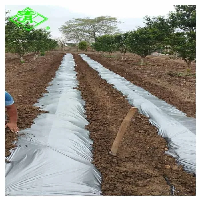 Agriculture Black/Silver Greenhouse Plastic Mulch Film for Vegetables