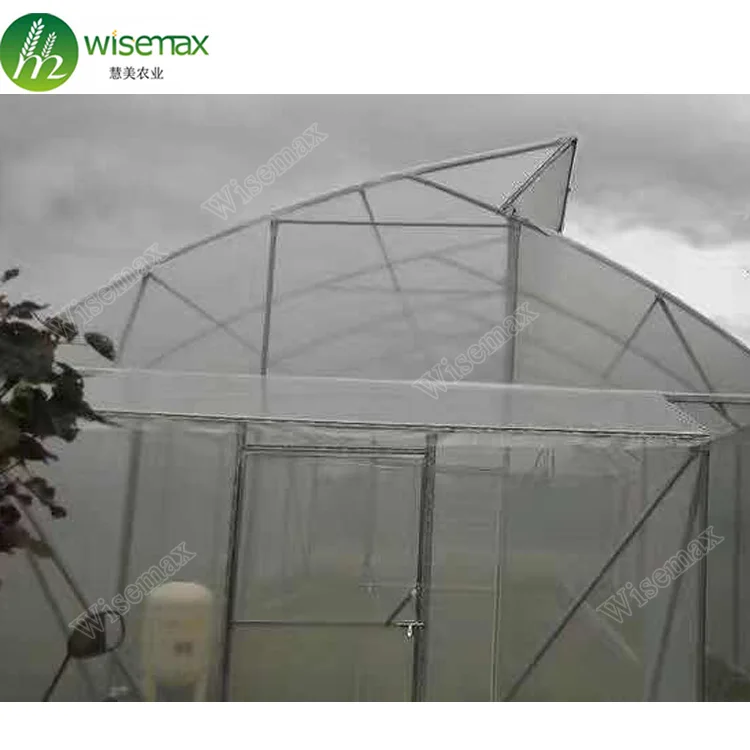 Hydroponic growing system single span tunnel venlo greenhouse for tomato