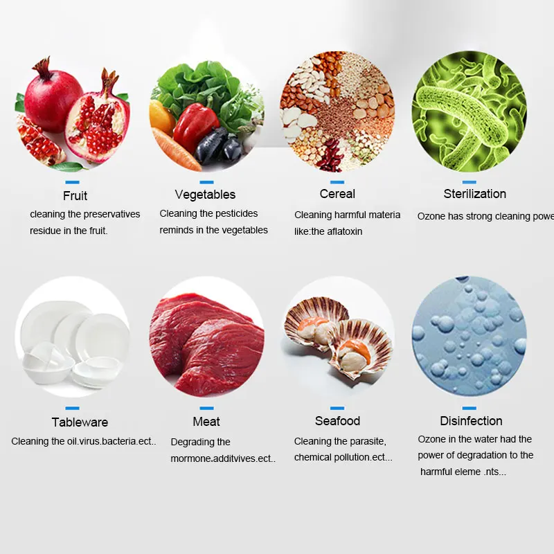 
Smart Digital LCD Panel Multifunction Ozone Meat Fruit Food Purification Machine 11L vegetable washer 