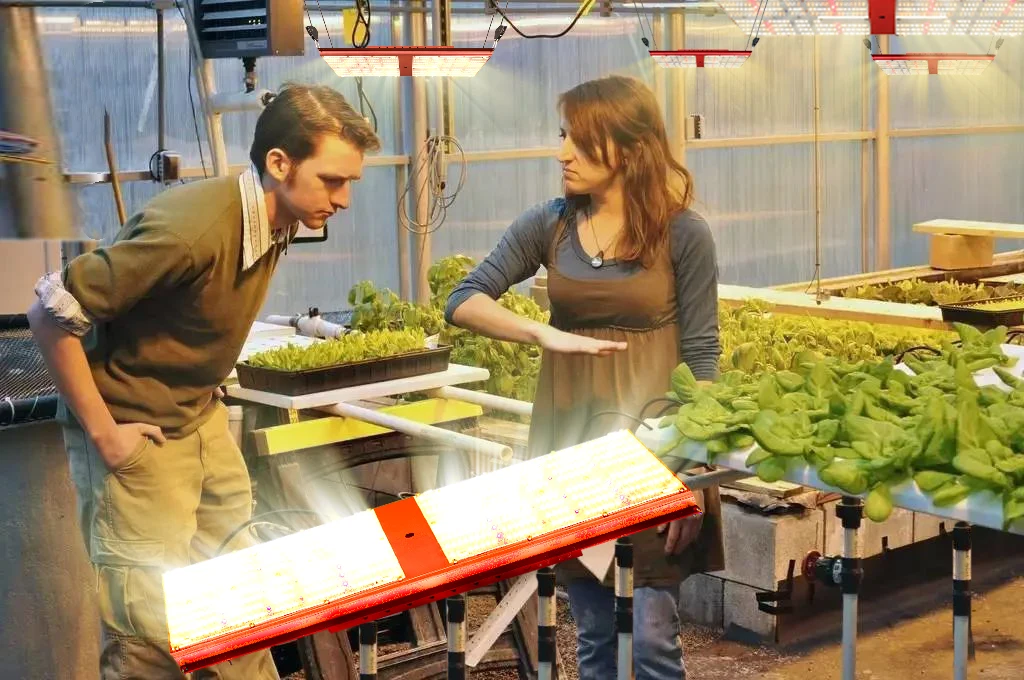 California latest generation bava green red color full cycle uv ir lm301h 2.6umol/j 240w led grow light for horticulture