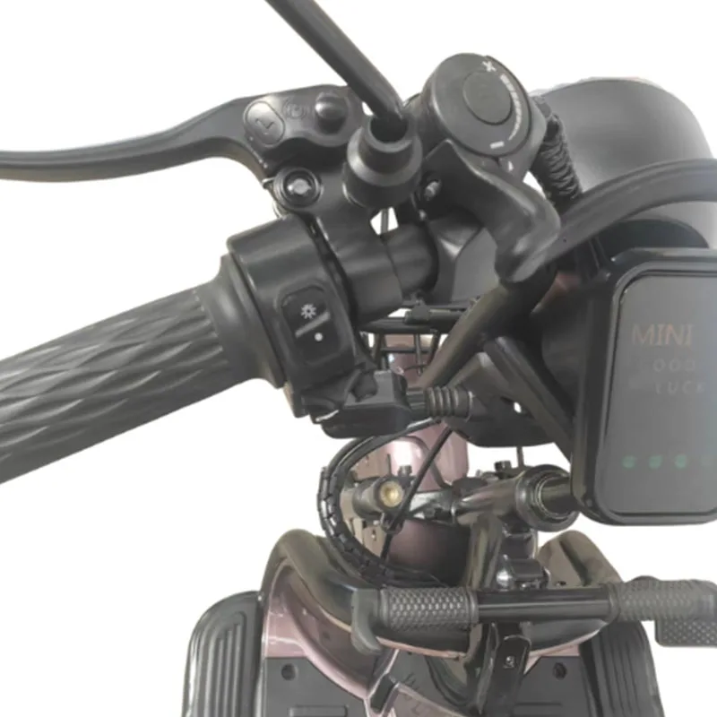 Acid Lead Battery E Bike Tricycle Europe Style Lead Acid Electric Vehicle For Cargo