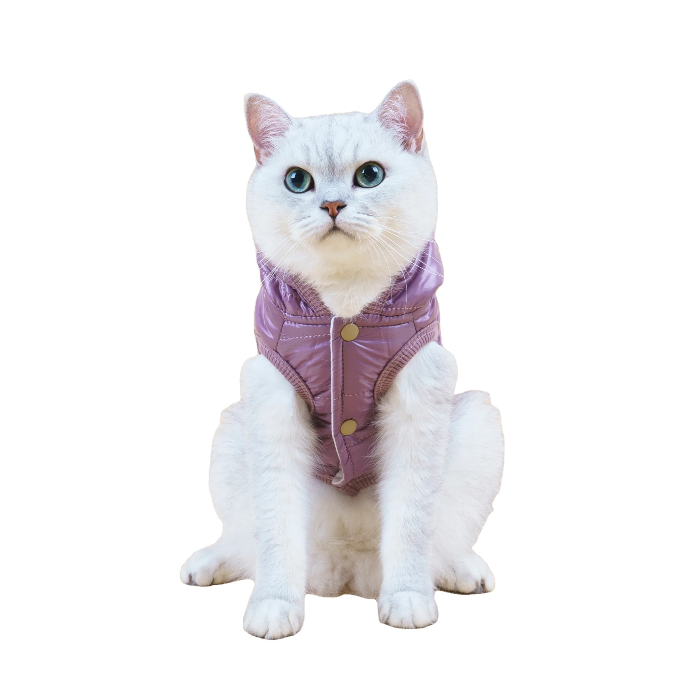 Pet Cotton Clothes Autumn Winter Pet Clothes Thick Coat Dog Hoodies Cotton Clothes