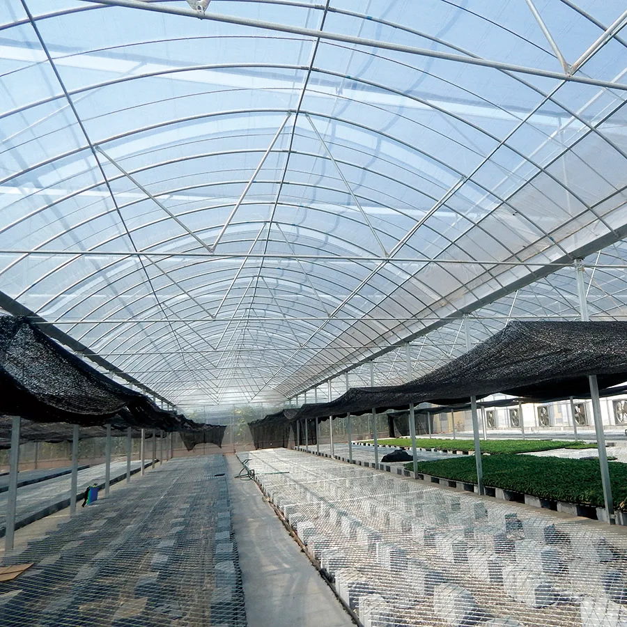 
High quality new design new style single span tunnel greenhouse for sale 