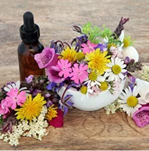 wholesale OEM/ODM Ginkgo Leaf Extract Stimulates Healthy Memory Mood & Concentration 2oz