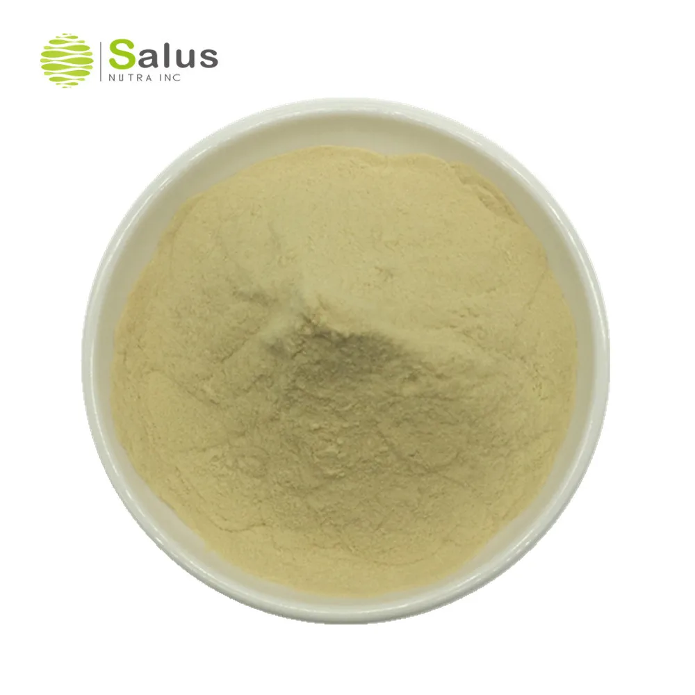 High Quality Nuclease 12,000u/g CAS 60675-83-4 Nuclease
