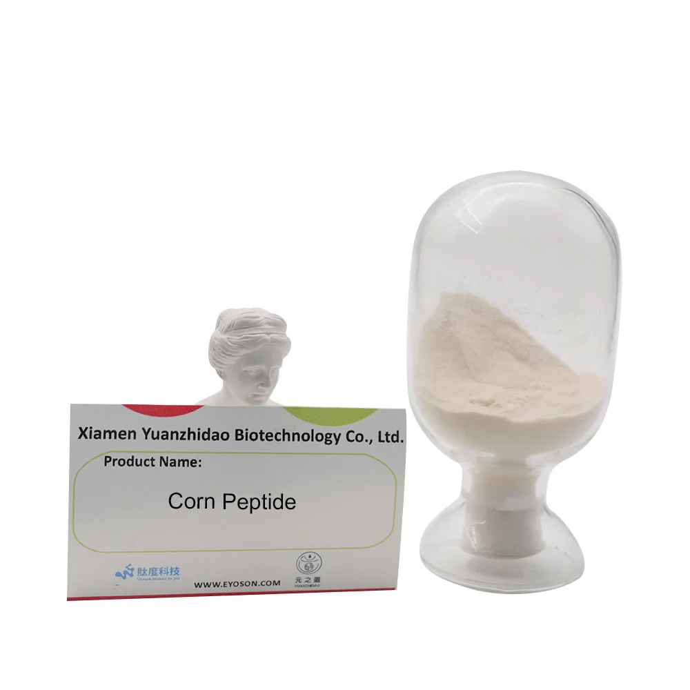 Corn Peptide Factory Hot Sale 100%  Natural Pure Corn Protein Peptide Powder  Water Soluble Corn Peptide