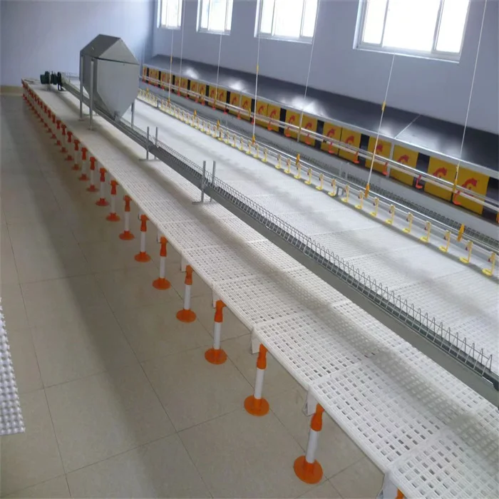 Полка пластиковая 1200x500x40 мм для бройлерной фермы