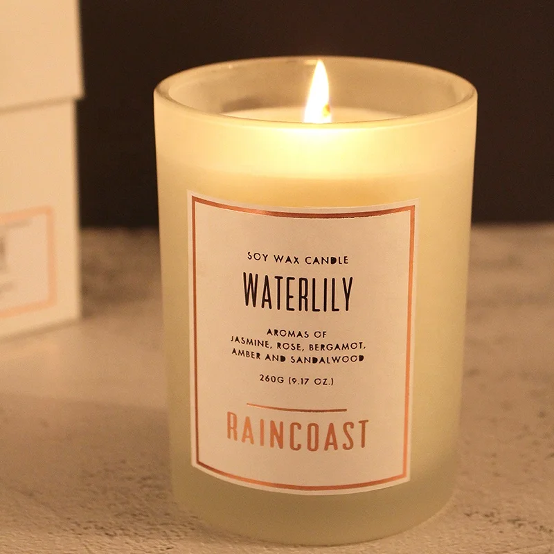 RAINCOAST Hot Selling White Glass Candle Holders for Wedding Decoration 260g Soy Wax Candles