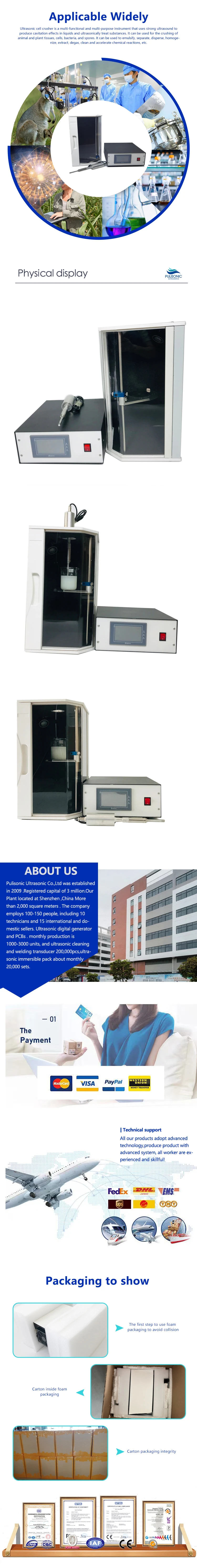 A-P-Cell Disr-2-ZJ.jpg