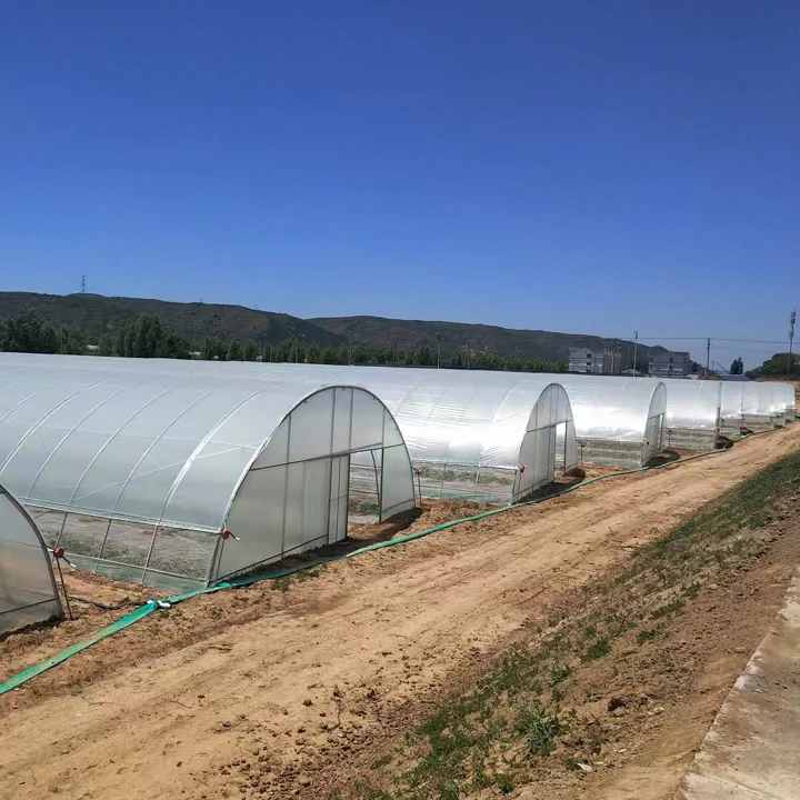 Good Quality And Easily Installed Agricultural/Commercial Green House Greenhouse