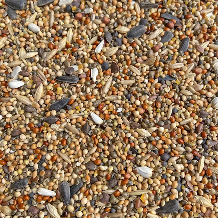 Горячая распродажа! Пшено семена дыни различные зерновые смешанных малых и средних птицы корма кукурузная мука