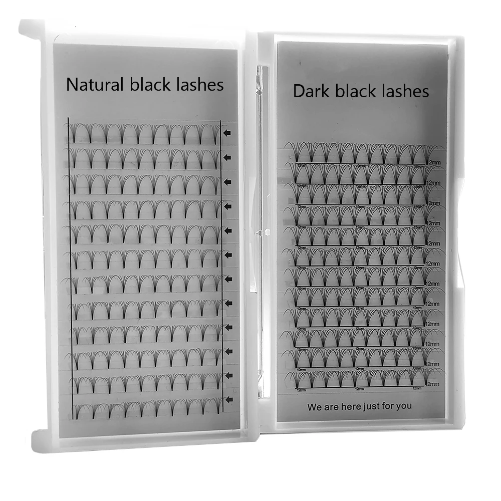 premade eyelash fans 0.07 camellia short eyelash extensions 6d 10D lashes pre made volume lash extension private label fan lash