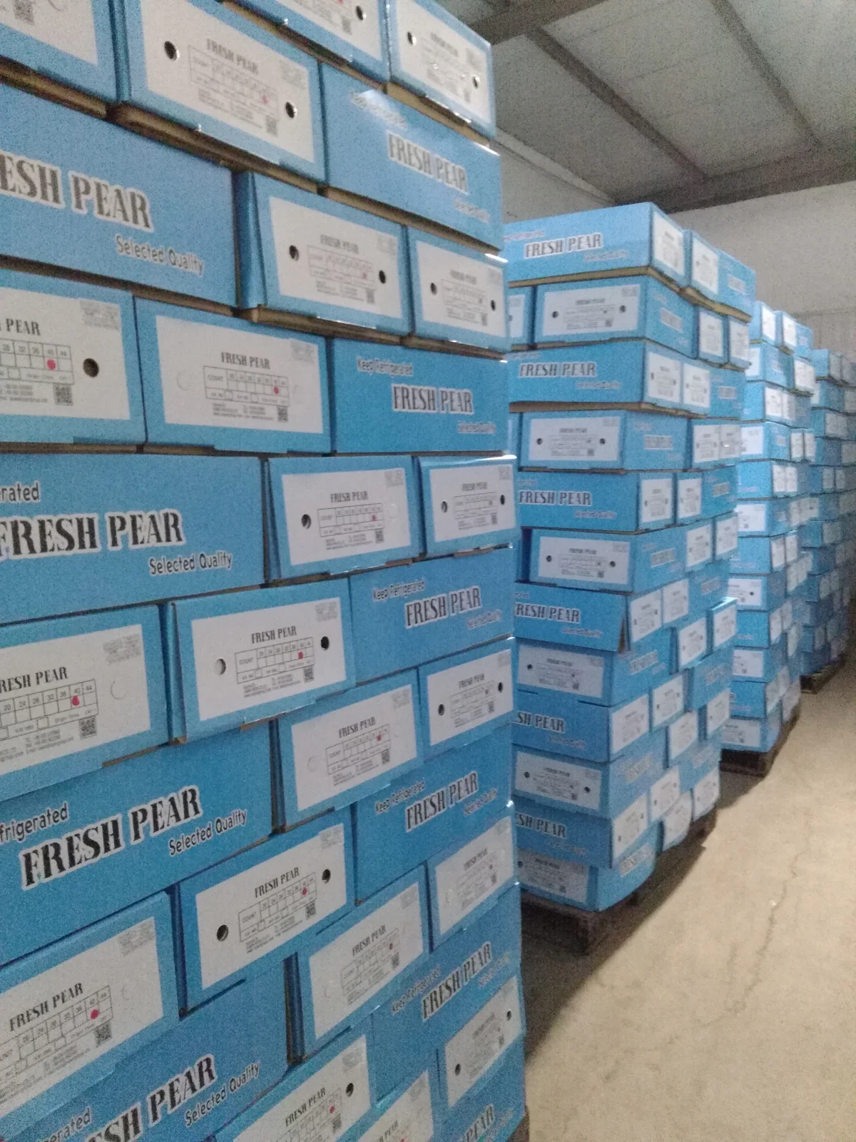 Chinese 2021 new season star sweet and juicy Ya pear/Crystal pear/Asian pear