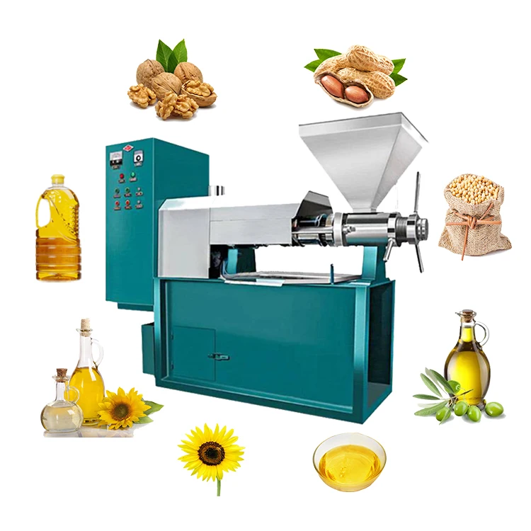 2024 Hot Sale castrol Oil Pressing Machine Sunflower Oil Extraction Machine