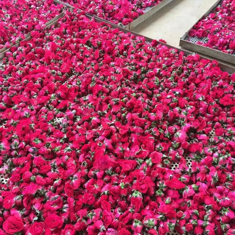 Heating industrial drying and curing machine Flower Jewelweed dehydrator