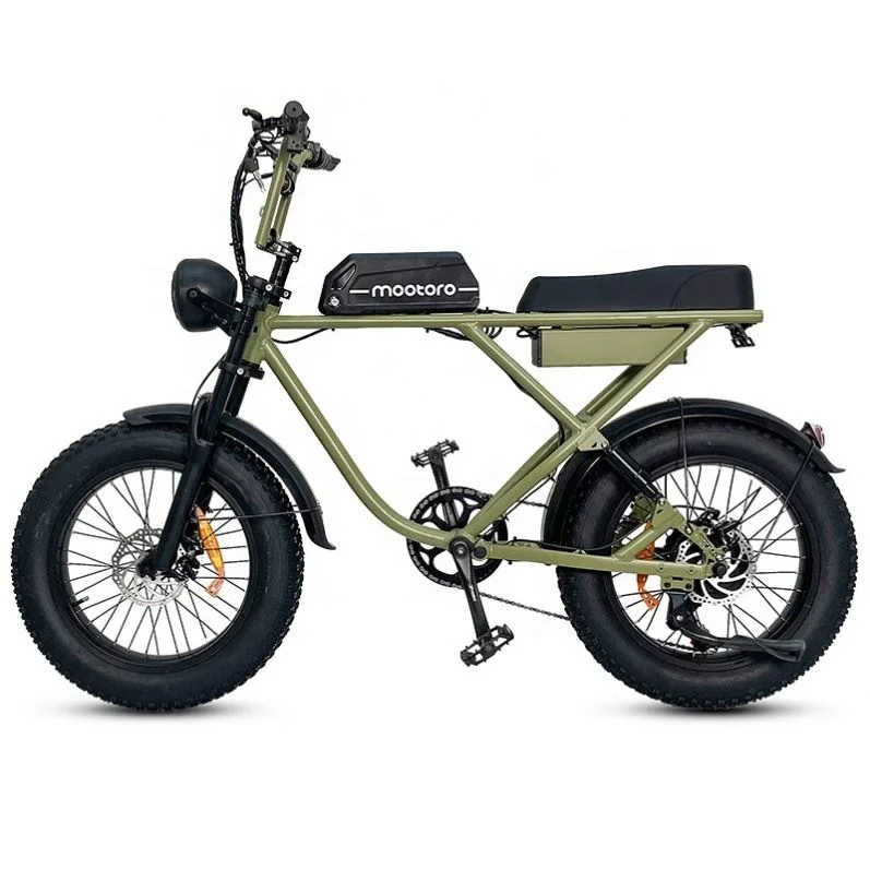1000w 48v battery high speed dirt men retro vintage MTB electric bicycle ebike hubless super hybrid 73 fat tire mtb e bike