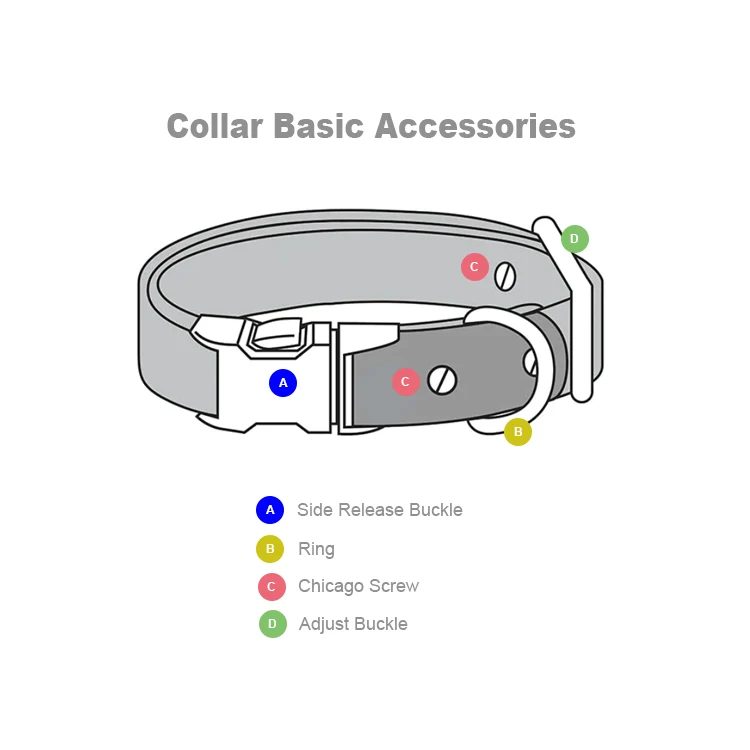 Collar Basic Accessories