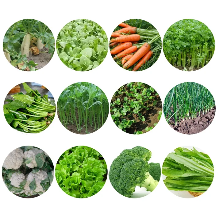 Reseeding Grass Seeder/Spread Soil Mixing Gardening Rotary Tool Garden Wheel Cultivator fruit  Vegetables corn seed planter