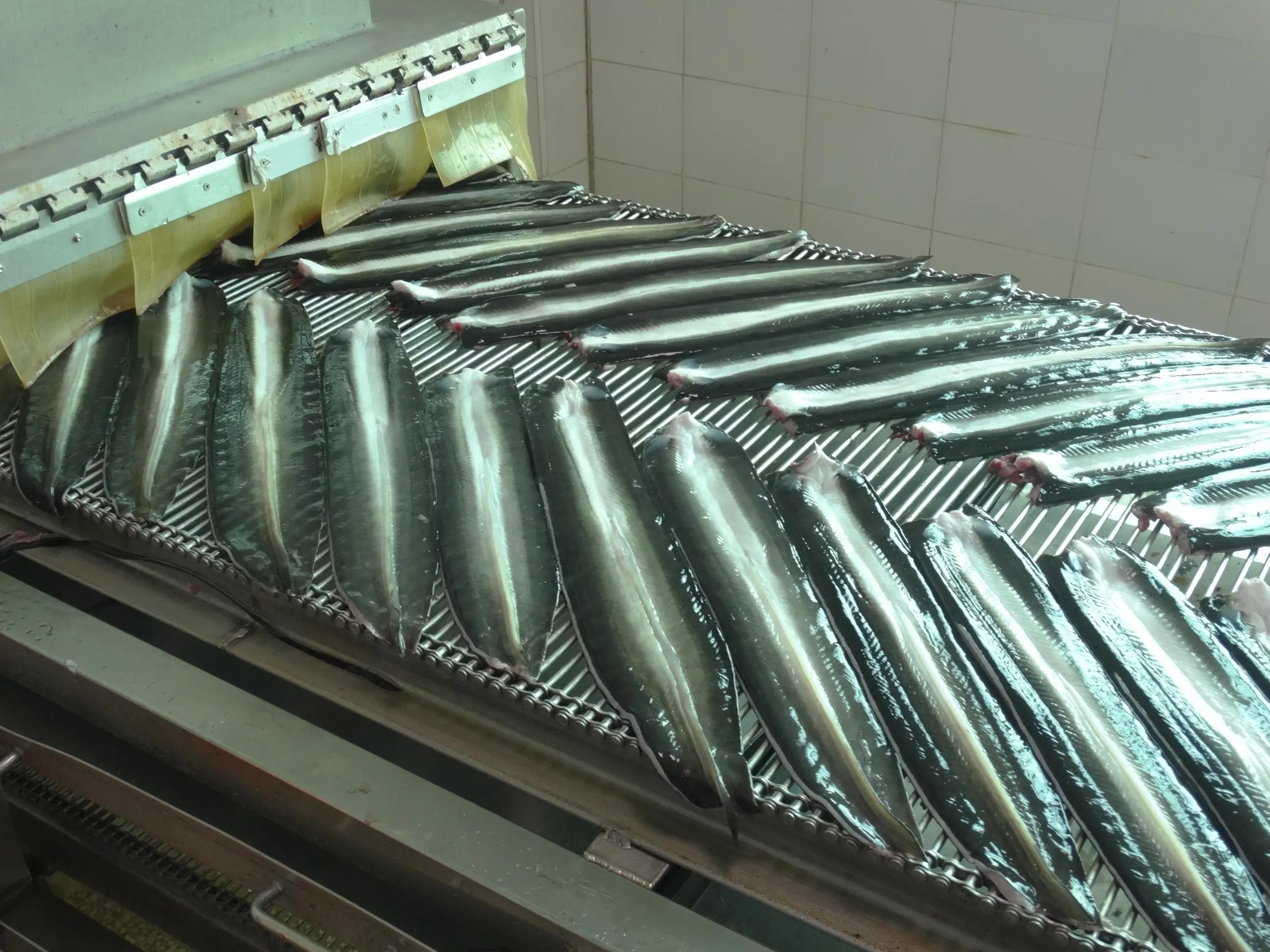 Cheap Price Eel Over Rice Savory Japanese Cuisine Cooked Eel Fish Roasted