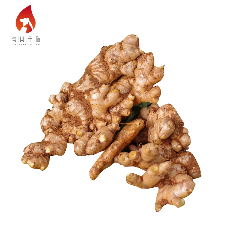 Natural Mountainous Areas Planting Yellow Ginger Chinese Bulk Fresh Ginger