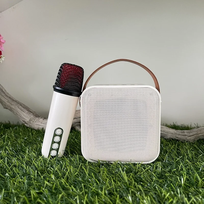 Hot Sell Professional Mini Karaoke Speaker Outdoor Portable Kids Bluetooth Karaoke Machine With Microphone