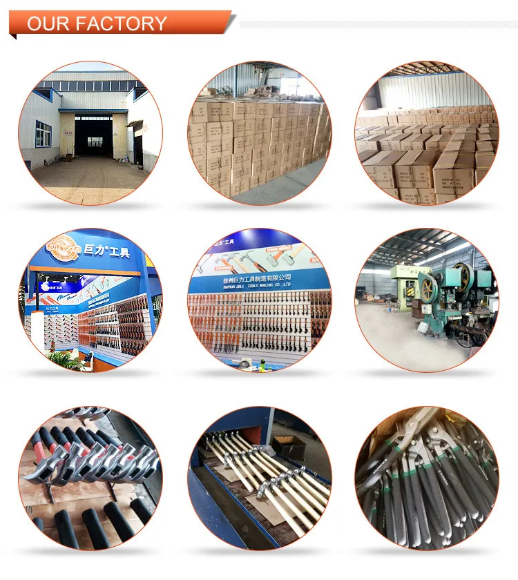 photobank