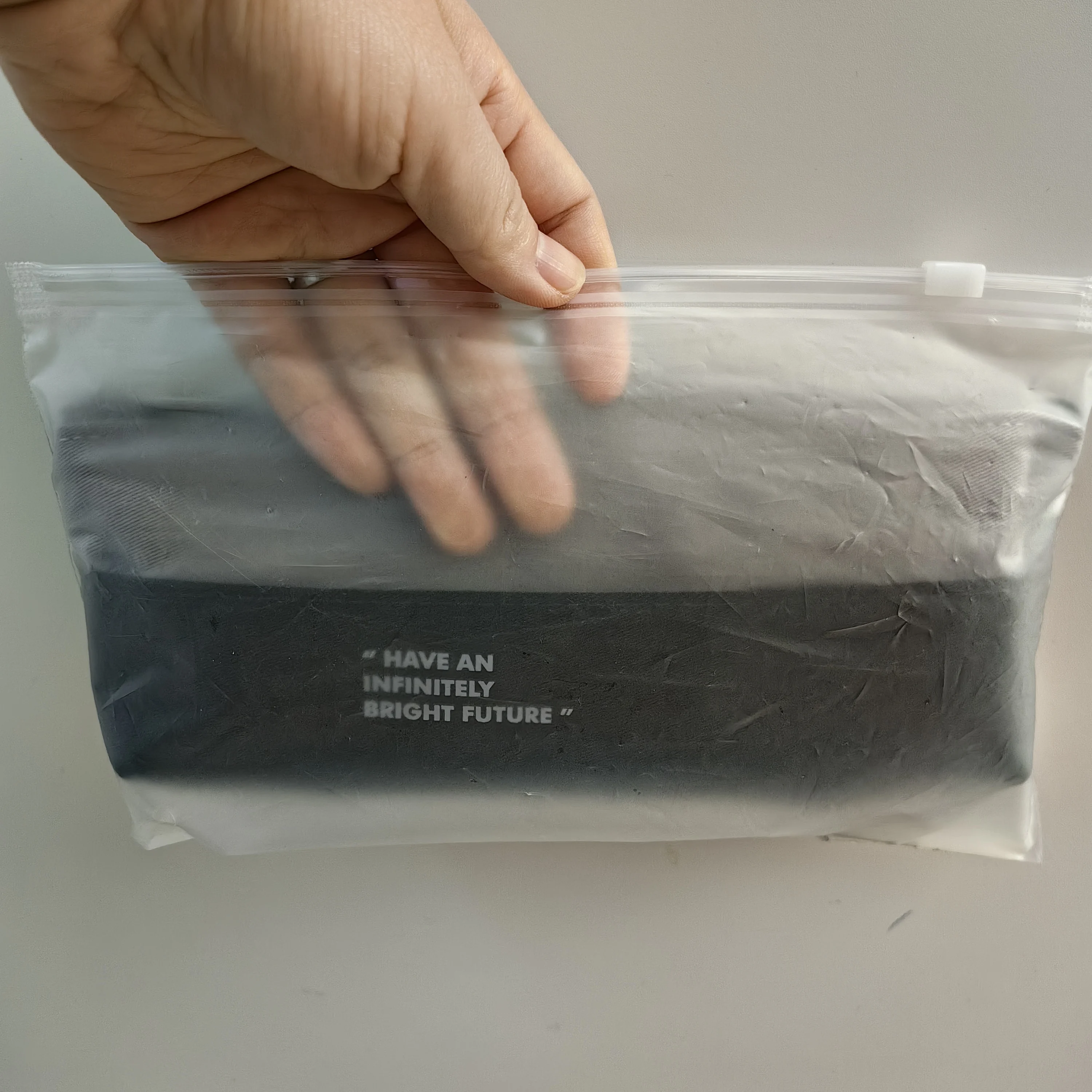 Custom Clothing Brand Logo Reusable Ziplock Bags Pouch for Clothes Packaging Frosted Plastic Ziplock Bag