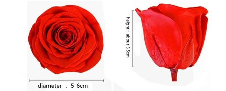 
Long Lasting Roses Kunming Yunnan 5-6cm Real Touch Rose Flower Head For Flower Wall 