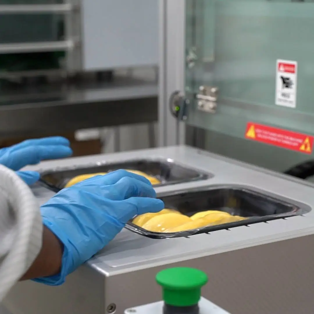 Malaysia XO Durian D24 Frozen Pulp | Newleaf Best Selling Sultan King Premium Grade Frozen Durian Seed Pulp