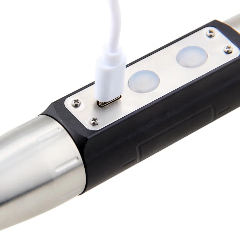 365nm 395nm UV LED Jade Flashlight Purple Yellow white 4 lights Usb Rechargeable Torch Identification Marker Checker Detection