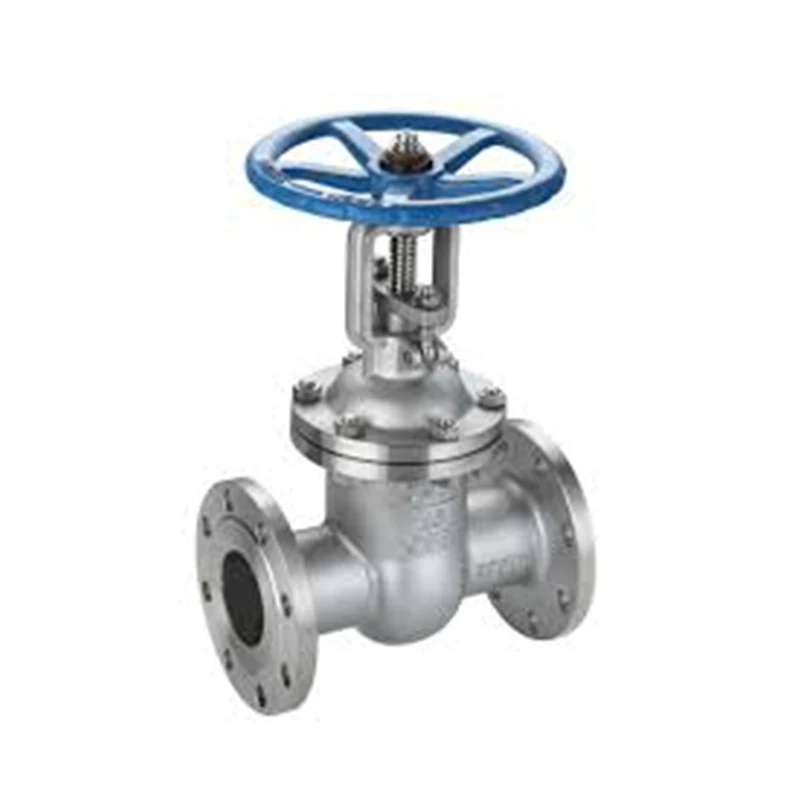 
custom big size industrial stainless steel ss inox flange gate Valve SUS 304 316 gate valves 