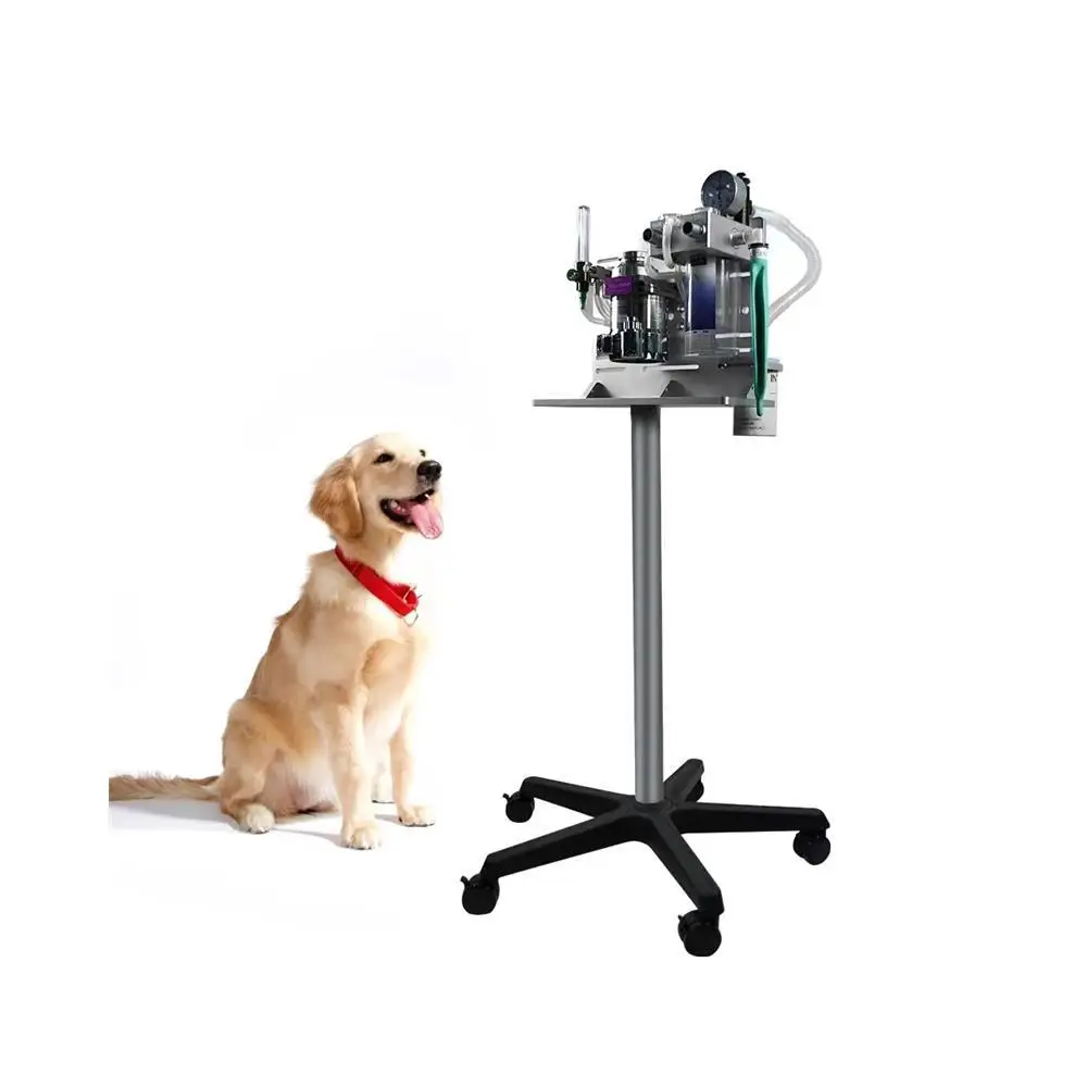 Strength Factory Fast Delivery Veterinaire Veterinary Price Vet Anesthesia Machine For Animal Use