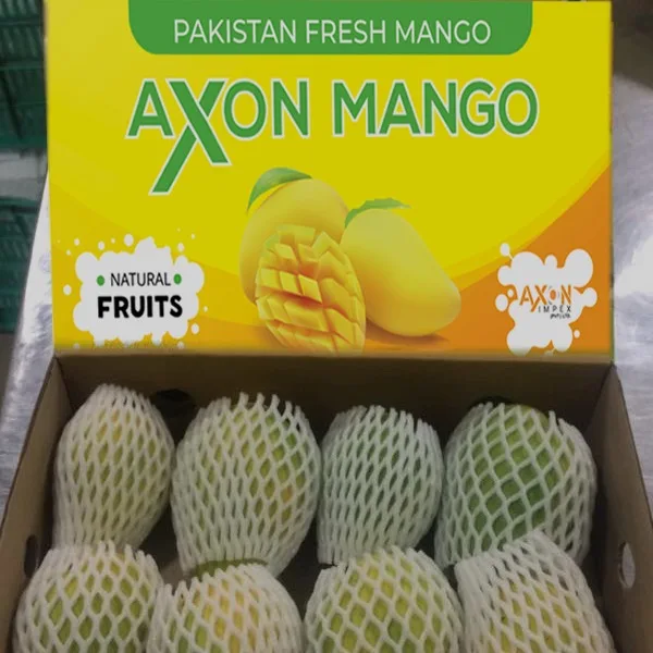 
china mango production in india 