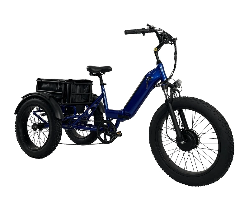 3 wheel bicycle for adults 3 wheeled electric family cargo bike electric tricycle bikes city dual battery with pedal assist