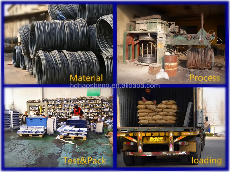 Full Thread Zinc Plated/ Stainless Steel 304 316 Framing Wood Screw