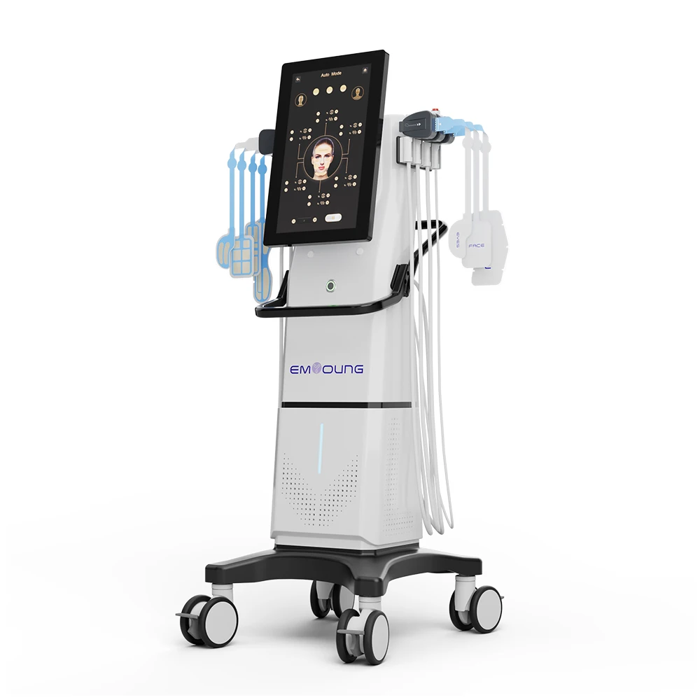Factory Price ems Rf Face Lifting Machine Use for Face