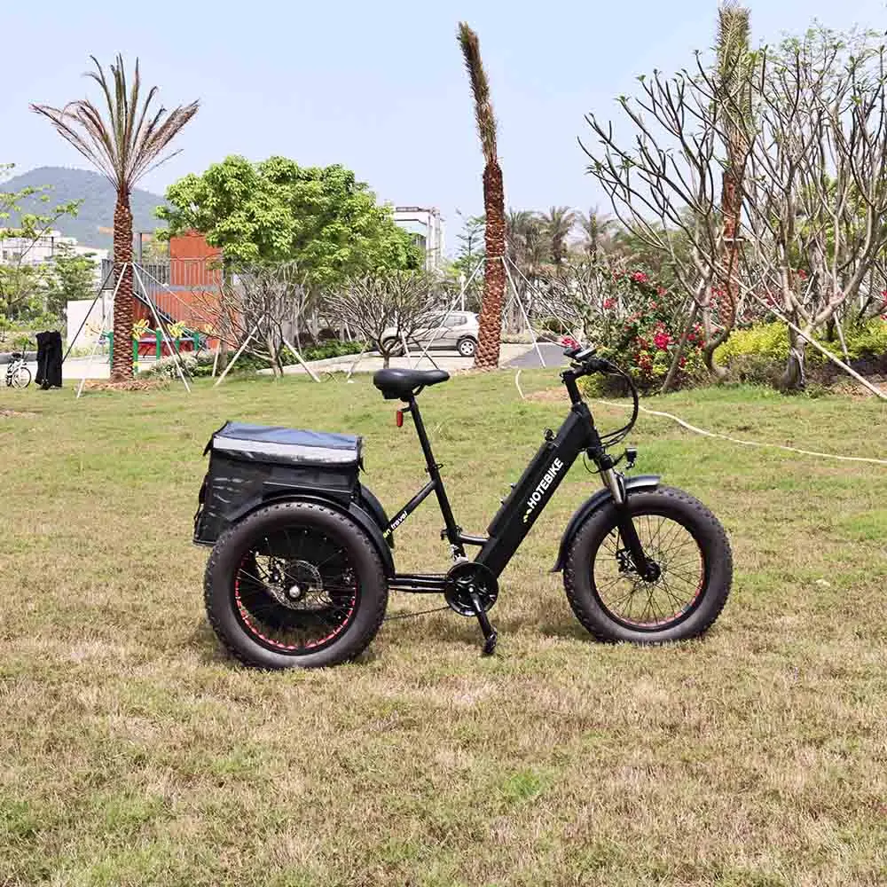 New Design 3 wheel electric bike ET250 cheap electric tricycle 20 inch 36V 250W motor electric bike with 3 wheels