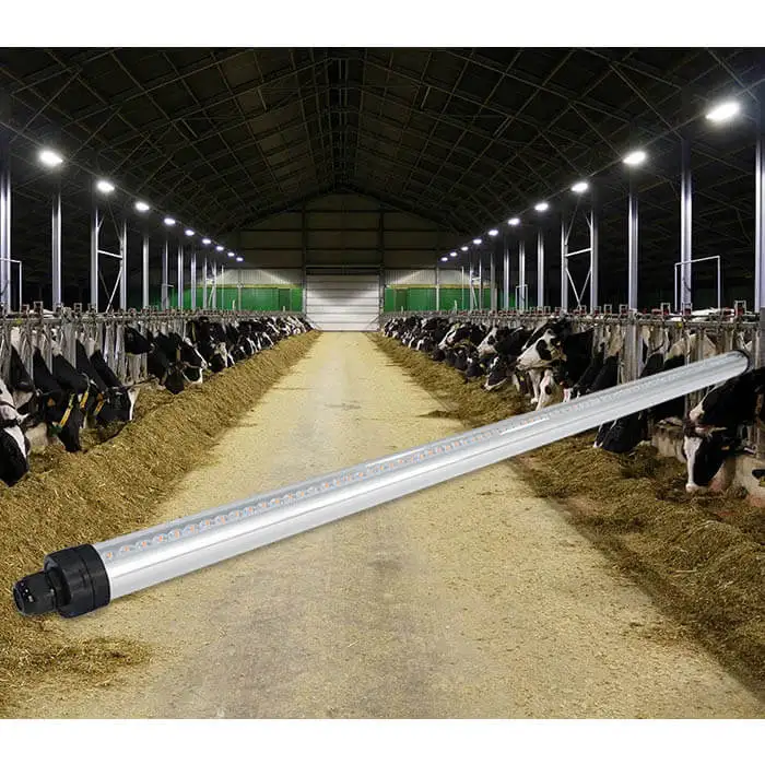 Chicken Farm Led Tube Light Waterproof Dimmable  corrosive-gas resistance Lights For Poultry Tube Lamp