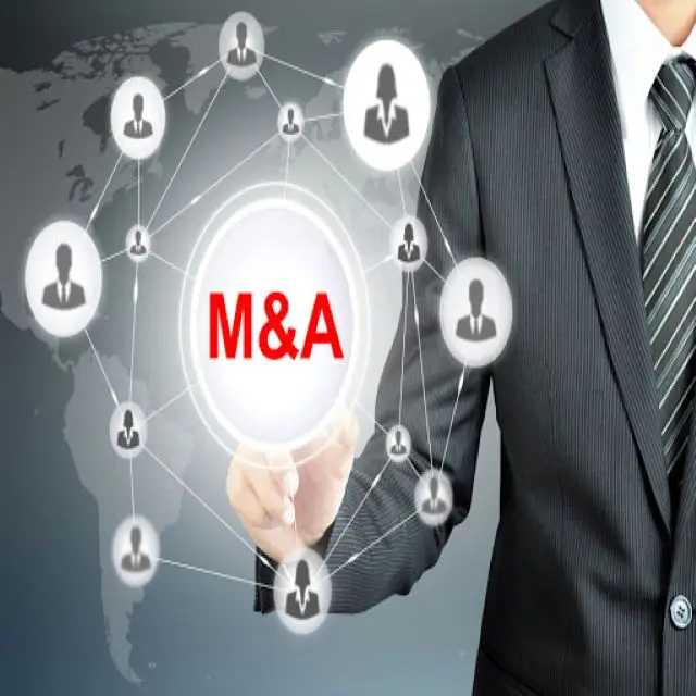 
Mergers and Acquisitions Investment Funding Purchasing project Purchasing company 