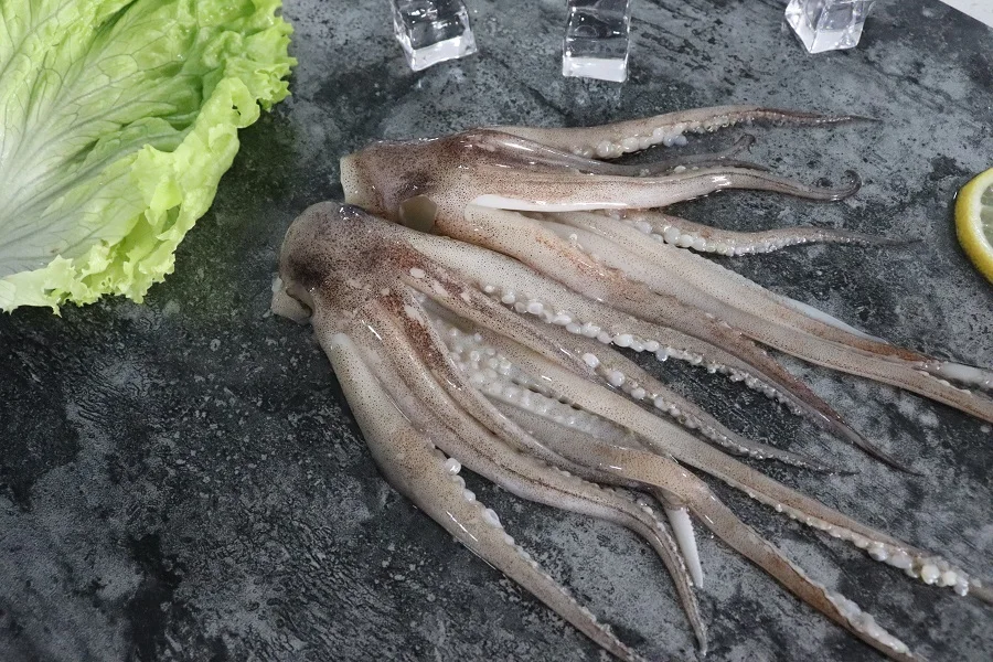 Shandong Ocean Village Food New season Factory Price Squid Tentacle Illex Squid Tentacle
