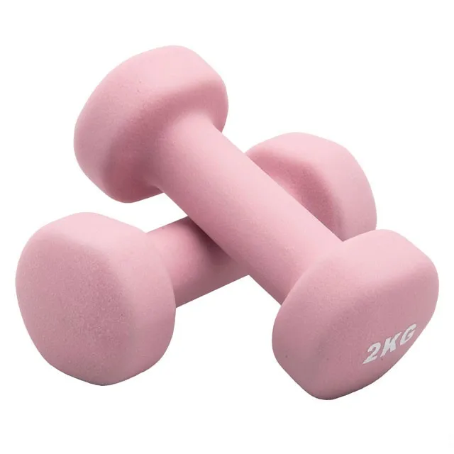 Factory Price Home used Portable Cheap Plastic adjustable dumbbell pair Neoprene vinyl Rubber cast iron Dumbbell for women