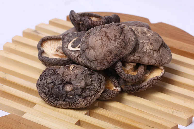 Органический завод Shiitake свежий гриб