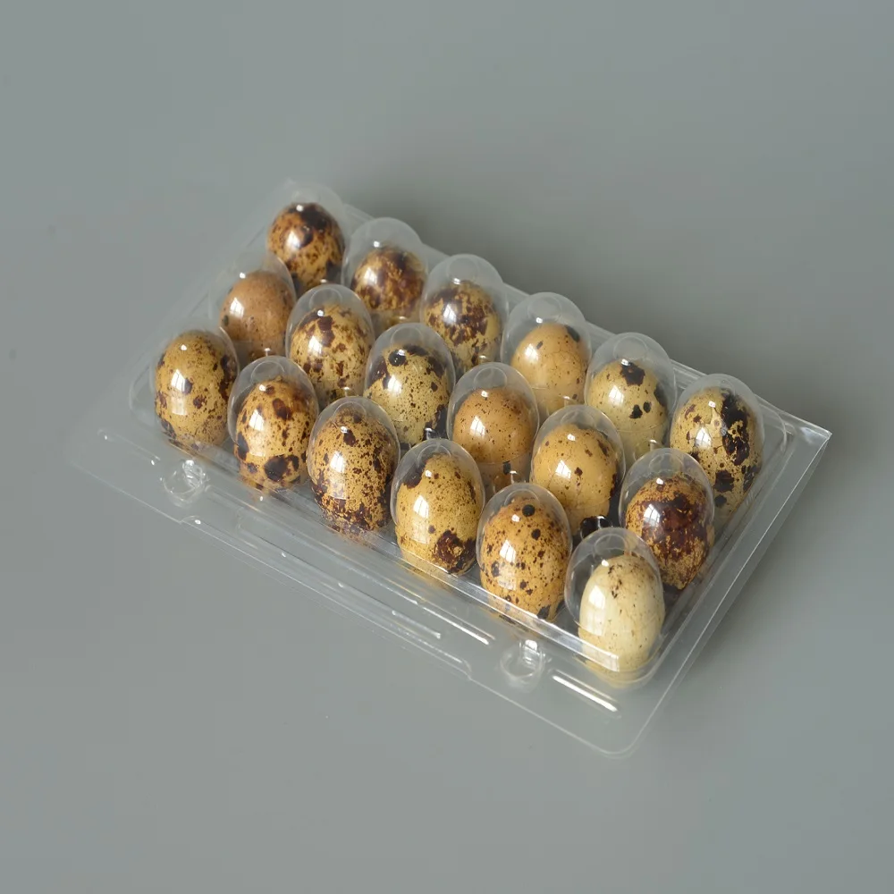 Одноразовый прозрачный пластиковый поднос для перепелов с 18